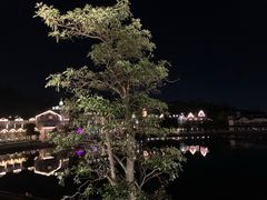 -深圳东部华侨城茵特拉根酒店