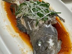 -大东海海鲜酒楼(渔人码头总店)