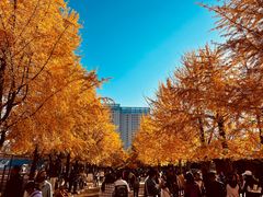-辽宁大学(崇山校区)