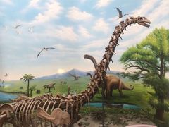 -辽宁古生物博物馆