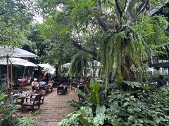 -Fern Forest Cafe