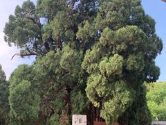 -四门塔风景区