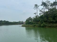 -牛鱼嘴原始生态风景区