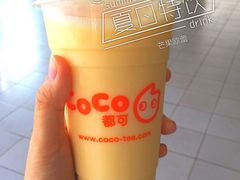 -CoCo都可(文星广场店)