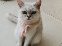 -怪兽屋·羊驼·猫咖·狗咖(俊华广场店)