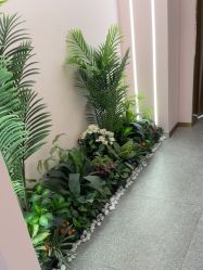 -MUSES专业脱毛比基尼サロン日式连锁