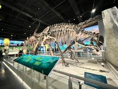 -国家自然博物馆