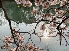 -红星桥(地铁站)