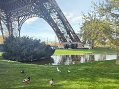 -埃菲尔铁塔