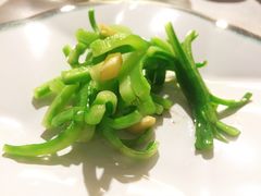 -T館·花园艺术餐厅