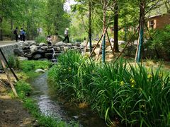 -白水寺森林公园