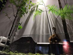 -吉庆莲年有鱼炭烤鱼(苏宁广场店)