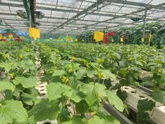 -兰陵国家农业公园