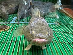 -鱼你相聚·河鲜馆(袁家岭店)