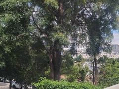 -兴盛大桥