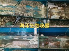 -仙螺岛海鲜自助餐厅(总店)