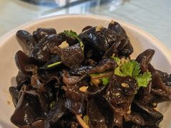 爽口黑木耳-毛家饭店(今洲广场店)
