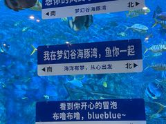 -横店影视城梦幻谷园区