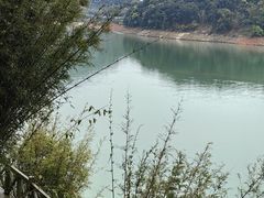 -广州市流溪河国家森林公园