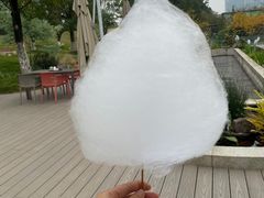 -桂溪生态公园