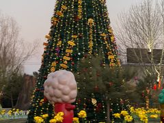 -南宫五洲植物乐园