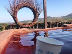 -天目湖涵田半山温泉