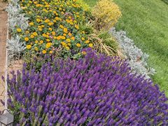 -汉长安城未央宫国家考古遗址公园