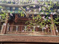 -大觉寺-停车场