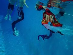 -奥佳游泳培训班(英东游泳馆店)