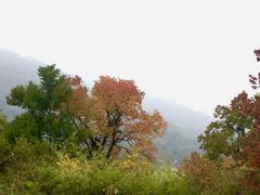 -塔川景区