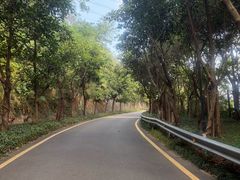 -小南山公园