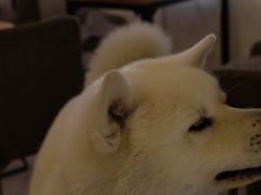 -餐酒吧Com-ing Bar(上海路店)