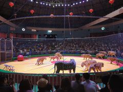 -西安秦岭野生动物园