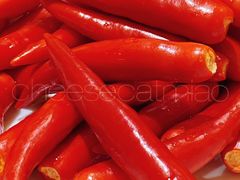 -麻小度青花椒鱼蛙火锅