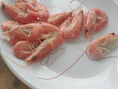 -七鲜渔港美食餐厅(巽寮湾海景店)