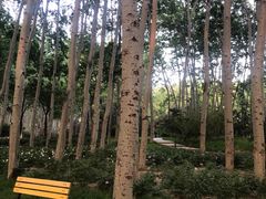 -仁和公园(顺义区)