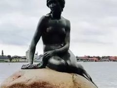 -美人鱼