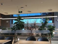-Bco豆库(星耀天地店)
