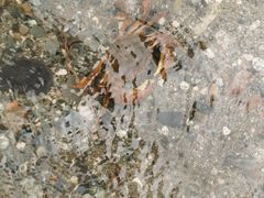 -海窝子古镇