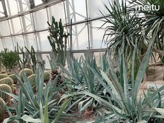 -北京植物园-展览温室