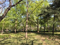 -玲珑塔公园
