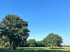 -汉长安城未央宫国家考古遗址公园