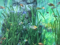 -上海海洋水族馆