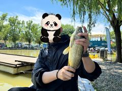 -酷鱼垂钓CLUB(朝阳区博大路店 )