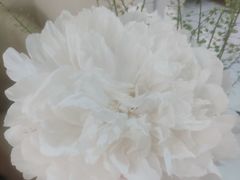 -晶雅花园西餐厅(南京首店)
