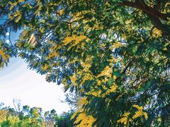 进门路上的浪漫-昆明春城湖畔度假村