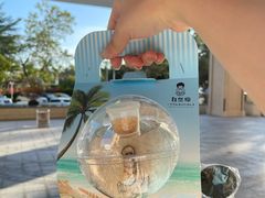-自然椰·海南清补凉(海月广场店)