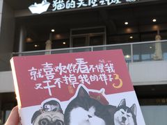 -猫的天空之城概念书店(北戴河蔚蓝海岸店)
