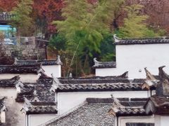 -塔川景区