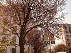 -宿迁学院